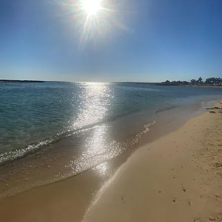 Welcome To Thea Court *